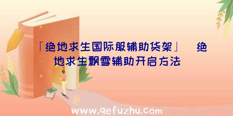 「绝地求生国际服辅助货架」|绝地求生飘雪辅助开启方法